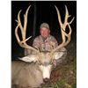 Image 3 : 2022 Wyoming Governor’s Deer, Elk or Antelope License