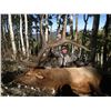 Image 2 : 2022 Utah Fillmore, Pahvant Bull Elk Landowner Permit