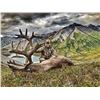 Image 2 : 2024 10 - Day Trophy Mountain Caribou at Arctic Red River Outfitters for (2) Two Hunters