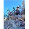 Image 1 : 2022 Arizona Coues Deer License