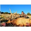 Image 1 : 6-Day 2022 Elk Hunt on the Spring Creek Ranch CWMU for One (1) Hunter- Fully Guided by Mossback