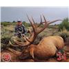 Image 2 : 6-Day 2022 Elk Hunt on the Spring Creek Ranch CWMU for One (1) Hunter- Fully Guided by Mossback