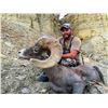 Image 1 : 2022 Utah Kaiparowits, Escalante, Desert Bighorn Sheep Conservation Permit - Any Legal Weapon (Rifle
