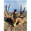 Image 2 : 4-Day Desert Mule Deer Hunt for One (1) Hunter