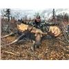 Image 1 : 2022 Alaska Drop in Moose Hunt DIY For 2 Hunters