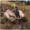Image 2 : 2022 Alaska Drop in Moose Hunt DIY For 2 Hunters
