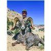 Image 1 : 2022 Utah San Rafael, Dirty Devil, Desert Bighorn Sheep Conservation Permit - Any Legal Weapon (Rifl