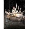 Image 1 : New Mexico Special Elk License