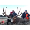 Image 1 : Antelope Island Mule Deer Conservation Permit