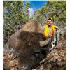 Image 1 : 2022 Utah Statewide Bison Conservation Permit