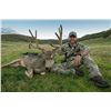 Image 2 : 2022 Colorado Statewide Deer License