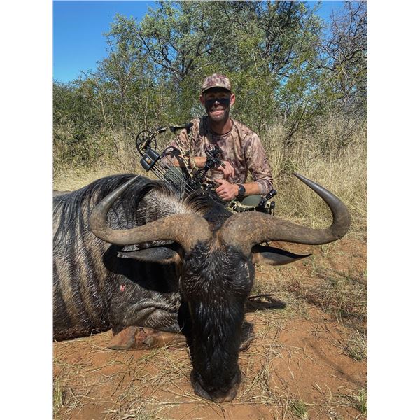 10-Day ARCHERY ONLY Plains Game Hunt for Two (2) Hunters and Two (2) Observers