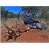 Image 2 : 10-Day ARCHERY ONLY Plains Game Hunt for Two (2) Hunters and Two (2) Observers