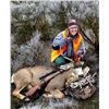Image 1 : 2022 Washington Three-Deer Permit