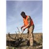 Image 2 : 2022 Washington Three-Deer Permit