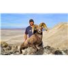 Image 1 : 2022 Utah Oquirrh Stansbury, West Rocky Mountain Bighorn Sheep Conservation Permit, Any Legal weapon