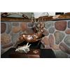 Image 1 : David A. Arthur Memorial Mule Deer Bronze by Dennis Jones