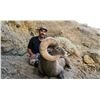 Image 2 : 2022 Utah Nine Mile, Gray Canyon Rocky Mountain Bighorn Sheep Conservation Permit, Any Legal weapon