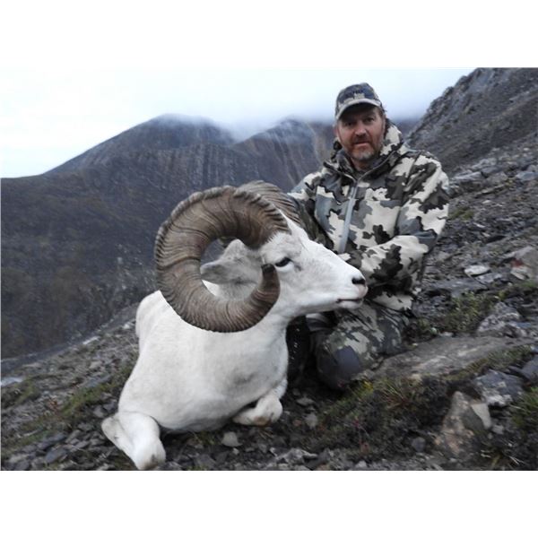 2024 Arctic Red 10-Day Dall Sheep Hunt