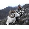 Image 1 : 2024 Arctic Red 10-Day Dall Sheep Hunt