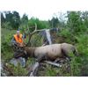 Image 2 : Multi Zone California Elk Permit