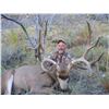 Image 1 : 2022 Utah Henry Mtns Buck Deer Conservation Permit – Hunter’s Choice