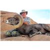 Image 3 : 2022 Utah Henry Mtns, Desert Bighorn Sheep Conservation Permit - Any Legal Weapon (Rifle)