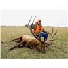 Image 2 : 2022 Nebraska Bull Elk Permit