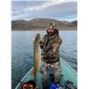 Image 2 : 10 - DAY MOOSE HUNT and Fishing Trip FOR (1) HUNTER - FULL CURL STONE BC