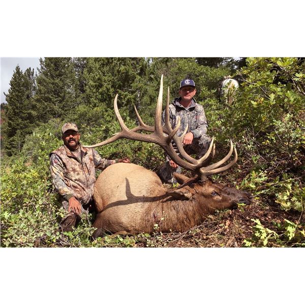 2022 Utah Statewide Bull Elk Conservation Permit