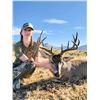 Image 1 : Trophy Coues Deer Hunt for 2 Hunters in Sonora Mexico