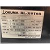 Image 8 : Okuma BL-MC75E-20TB BL Servo Motor