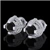 2.75 ctw Fancy Black Diamond Micro Pave Stud Earrings 18k White Gold - REF-180Y2X