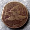 Image 1 : 1858 Flying Eagle Cent - Cut