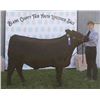 Image 1 : Tyler Schoen