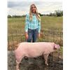 Image 1 : Kendall Clausen - Swine