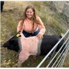 Image 1 : Mackenzie Witmer - Swine