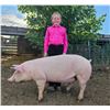 Image 1 : Sage Mahan - Swine