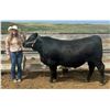 Image 1 : Kennedy Simonson - Beef