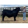 Image 1 : Aidree Math - Beef
