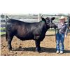 Image 1 : Addison Benson - Beef