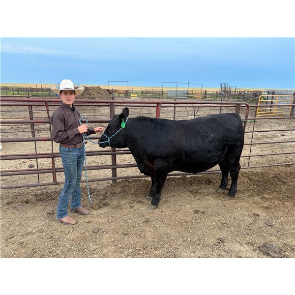 Ivan Taylor - Blue Ribbon Market Beef
