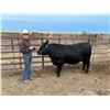 Image 1 : Ivan Taylor - Blue Ribbon Market Beef