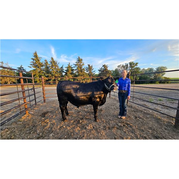 Macey  Lien  - Blue Ribbon Market Beef