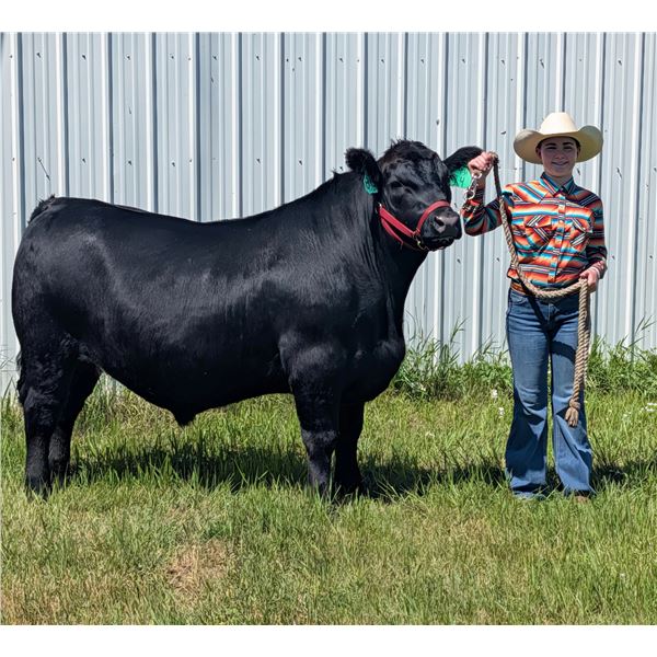 Aidree  Math - Grand Champion Market Beef