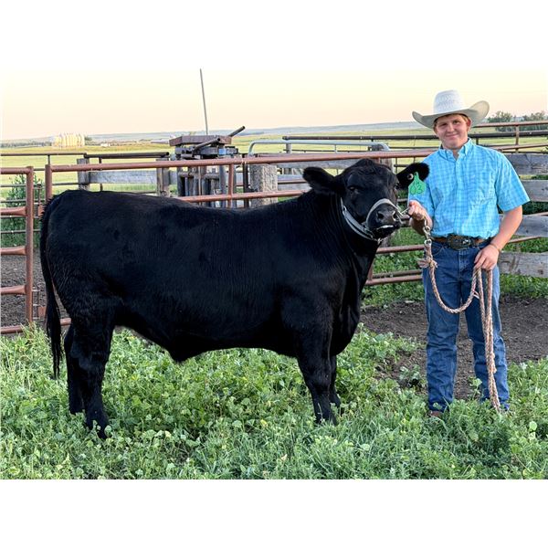 Steeler Blunt - Blue Ribbon Market Beef