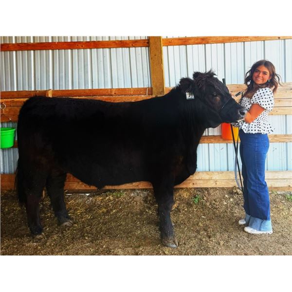 Courtney  Merriman - Reserve Champion Market Beef