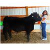 Image 1 : Courtney  Merriman - Reserve Champion Market Beef