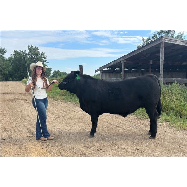 Mariah  Hould - Blue Ribbon Market Beef