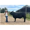 Image 1 : Mariah  Hould - Blue Ribbon Market Beef